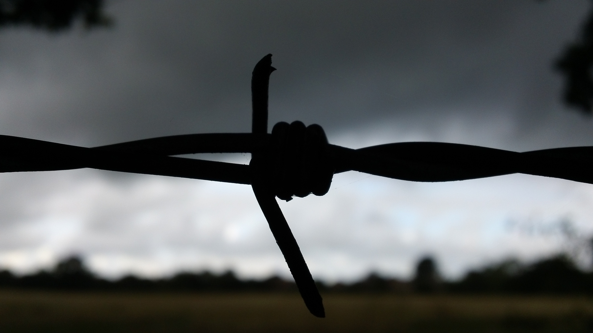 Barbed wire silhouette against dark, oppressive sky